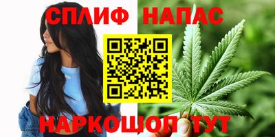 шишки Усть-Джегута