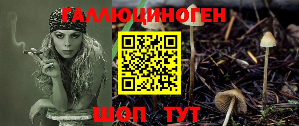 Галлюциногенные грибы GOLDEN TEACHER Ростов Великий